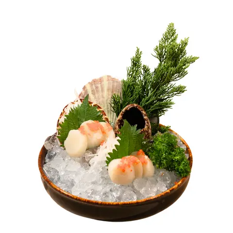 Hình ảnh SASHIMI SÒ ĐIỆP 10 LÁT