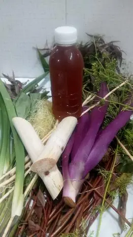 Hình ảnh Nước sâm nhà làm 