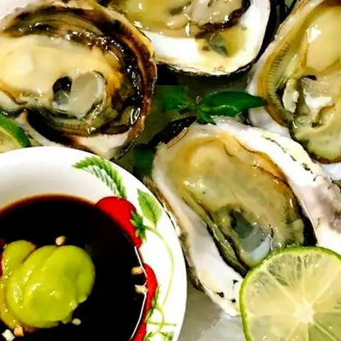 Hình ảnh Hào Mù Tạt 4 Con