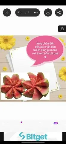 Hình ảnh Ổi xẻ 400gram