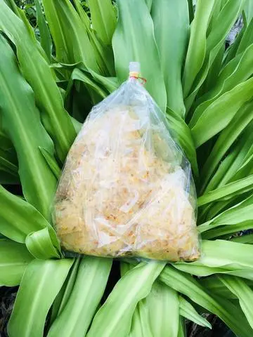 Hình ảnh Bánh Tráng Trộn Tỏi