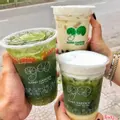 Hình ảnh RAU MÁ SỮA