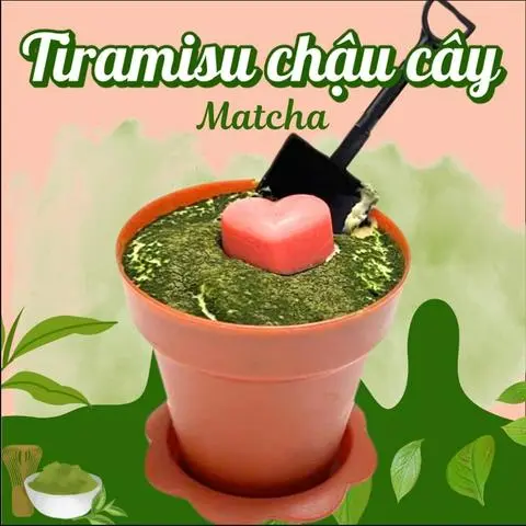 Hình ảnh Tiramisu Chậu Cây Matcha