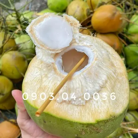 Hình ảnh dừa trái 