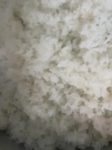 Hình ảnh cơm trắng 