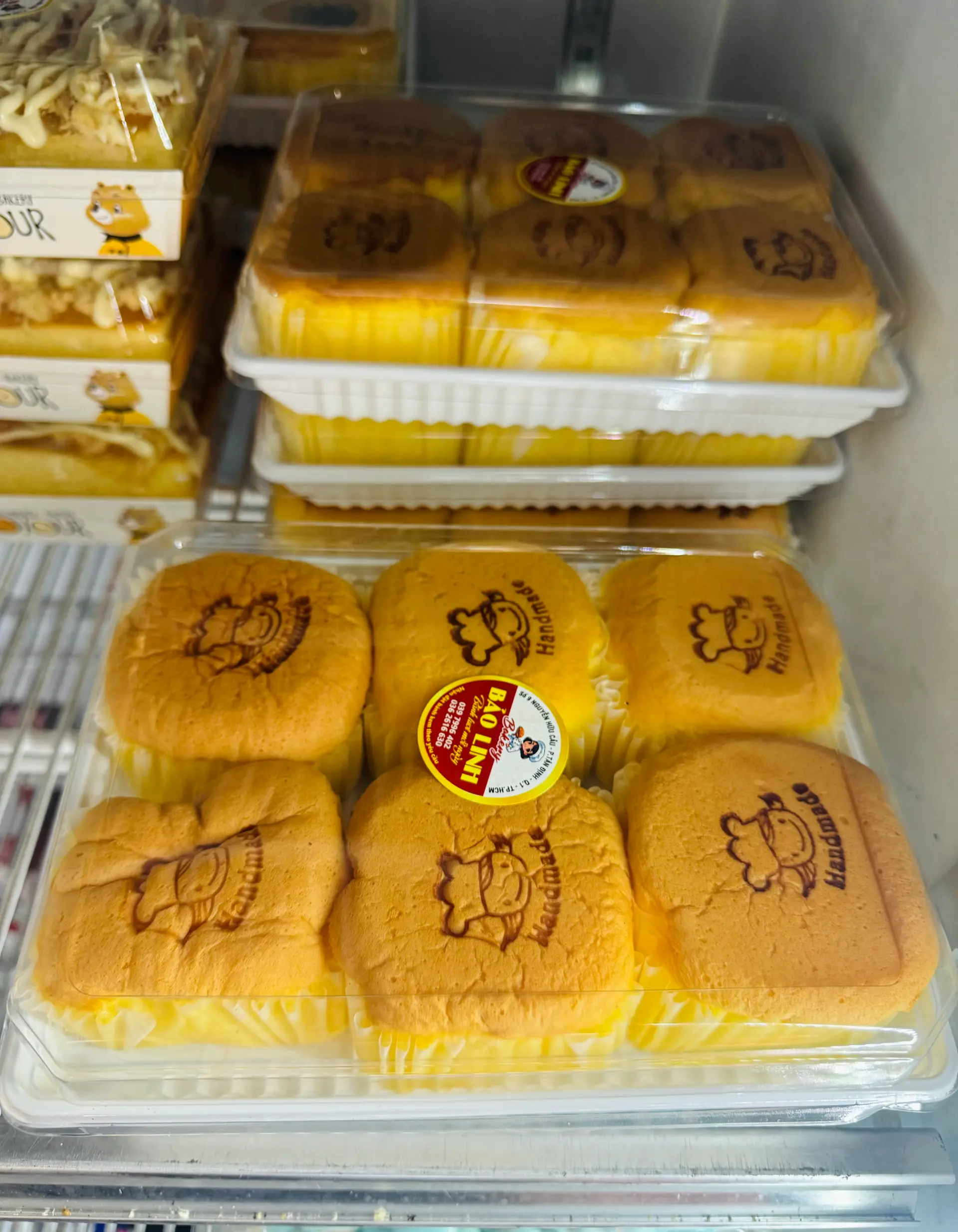 Hình ảnh  Bông lan Nhật Bản 
