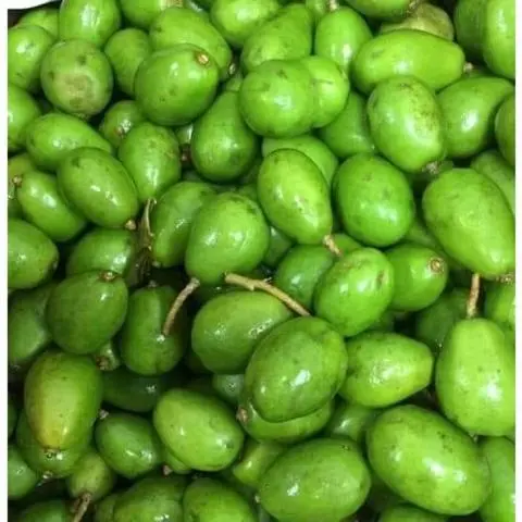 Hình ảnh 1 ký Cóc non + Muối tôm