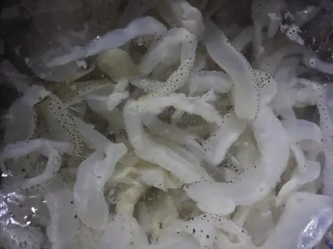 Hình ảnh Sứa thêm
