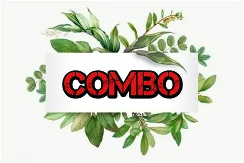 Hình ảnh Combo 5 cuốn tai heo