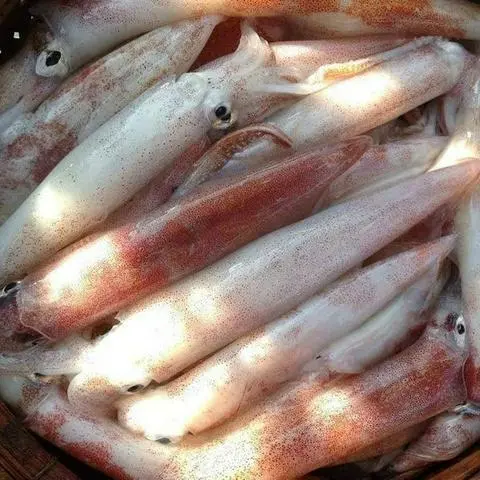 Hình ảnh Cháo mực trứng nấm