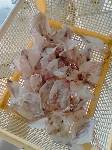 Hình ảnh Sét khô mực nhỏ 30con