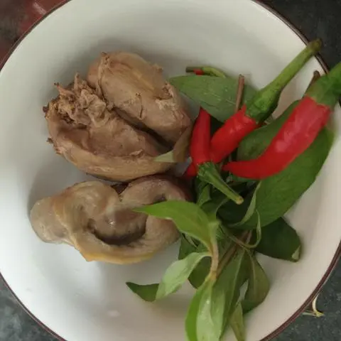 Hình ảnh Bộ Gan Mề 