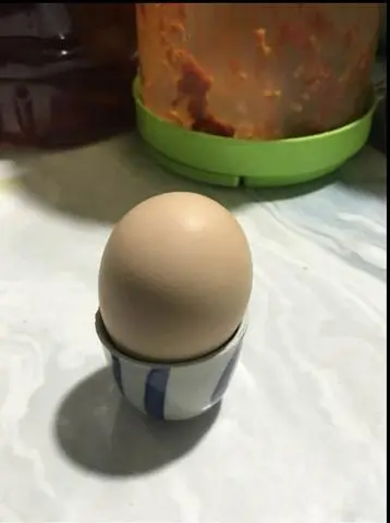 Hình ảnh gà lộn 