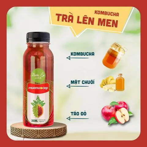 Hình ảnh Kombucha Trà Lên Men Reddy Healthy