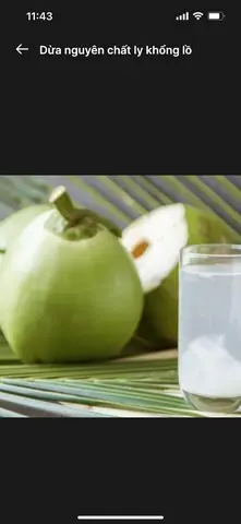 Hình ảnh Dừa nguyên chất 