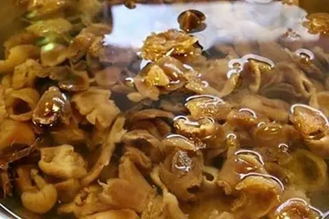 Hình ảnh Nhãn nhục