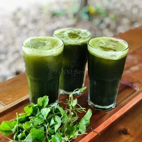 Hình ảnh Rau má Đậu Xanh