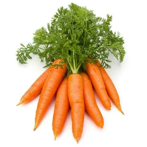 Hình ảnh Carrot Juice L