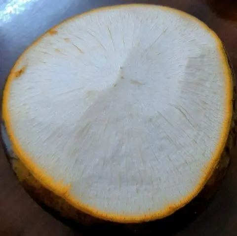 Hình ảnh Dừa xiêm  Dừa xiêm Tắt 