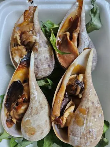 Hình ảnh Ốc muỗng 