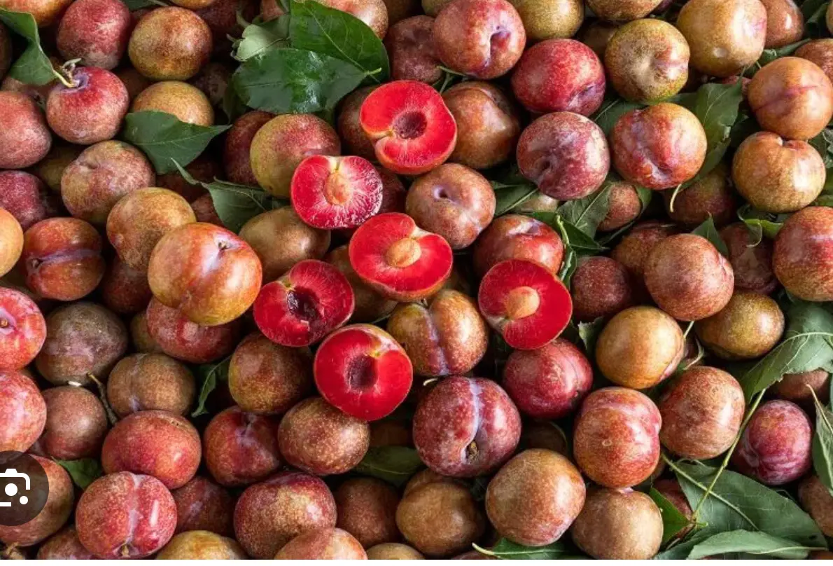 Hình ảnh Mận Hà Nội 500g + Muối 