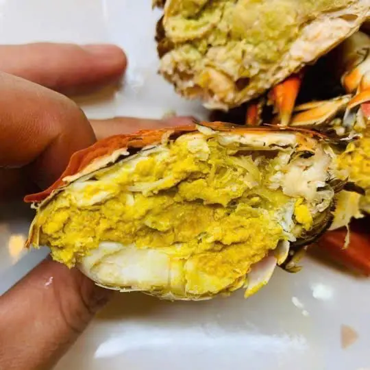 Hình ảnh cua trinh nữ gạch vàng (~250gr/con)