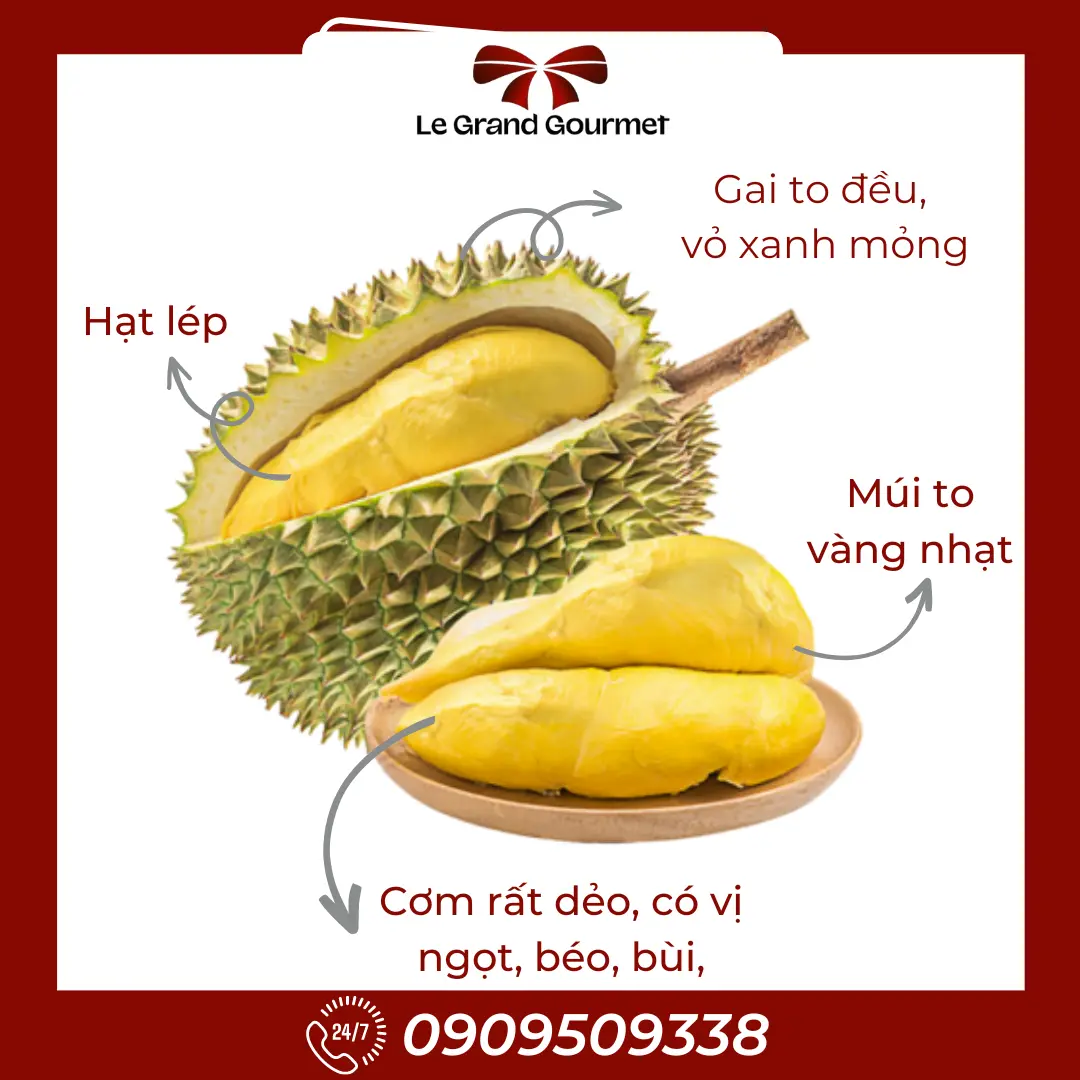 Hình ảnh  Sầu Riêng Thái hữu cơ - 1kg