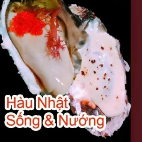 Hình ảnh hàu nhật sống hoặc nướng