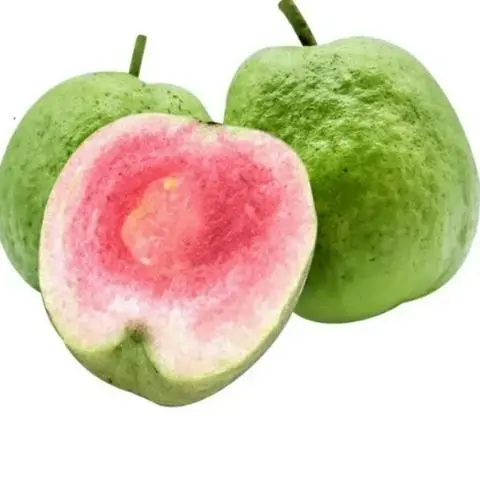 Hình ảnh ổi đỏ