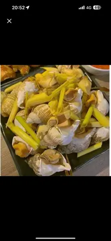 Hình ảnh Ốc Bulot hấp sả