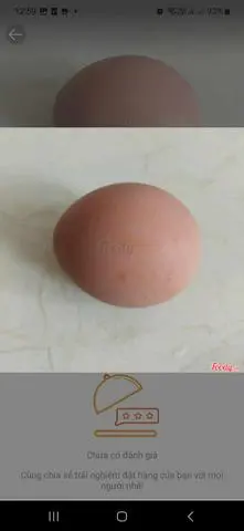 Hình ảnh Trứng gà 