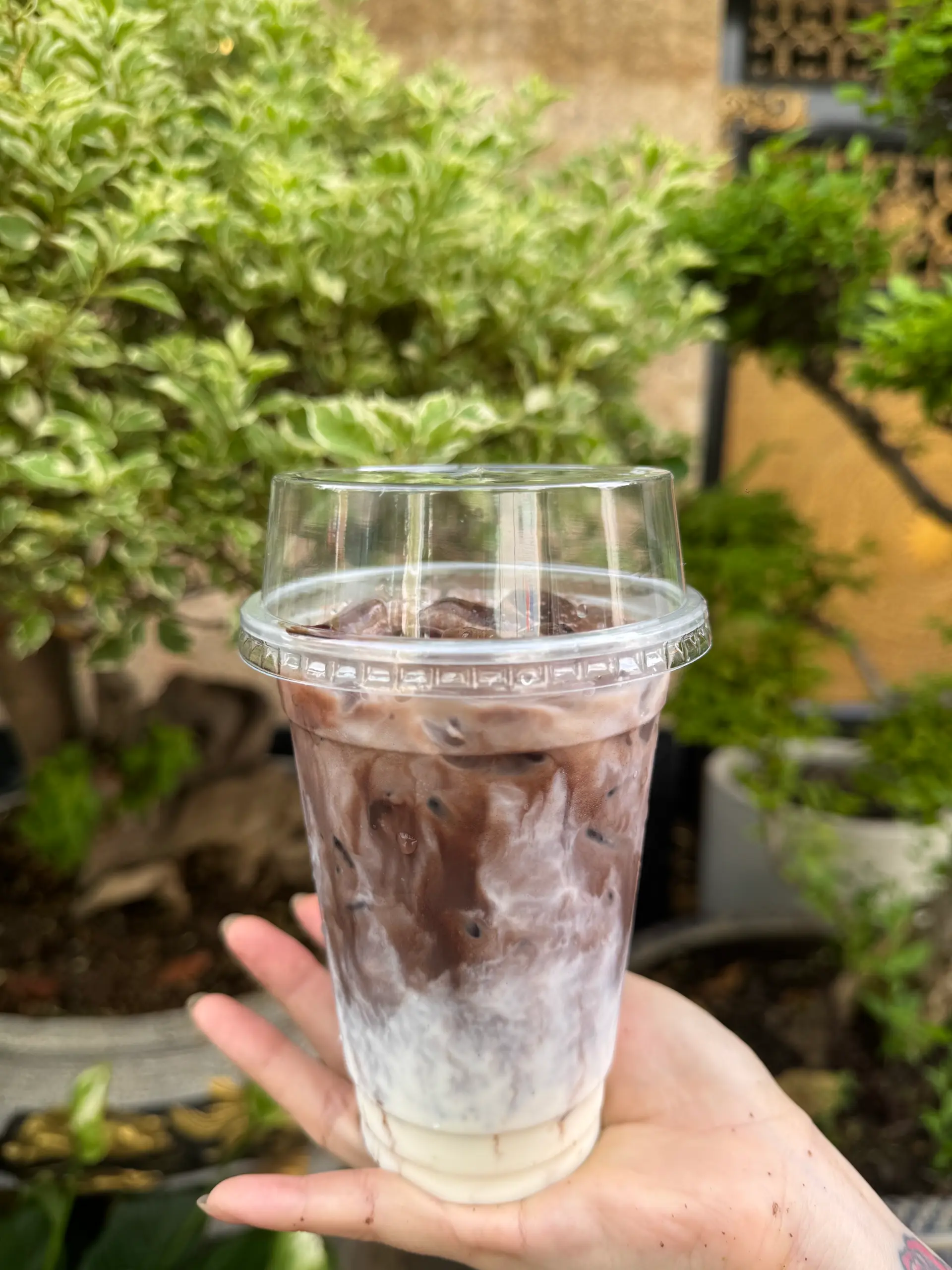 Hình ảnh Cacao latte
