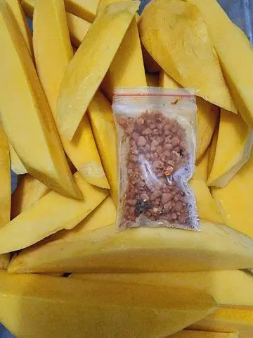 Hình ảnh Xoài Keo hoặc xoài Tứ QUÝ Chấm Muối 1kg