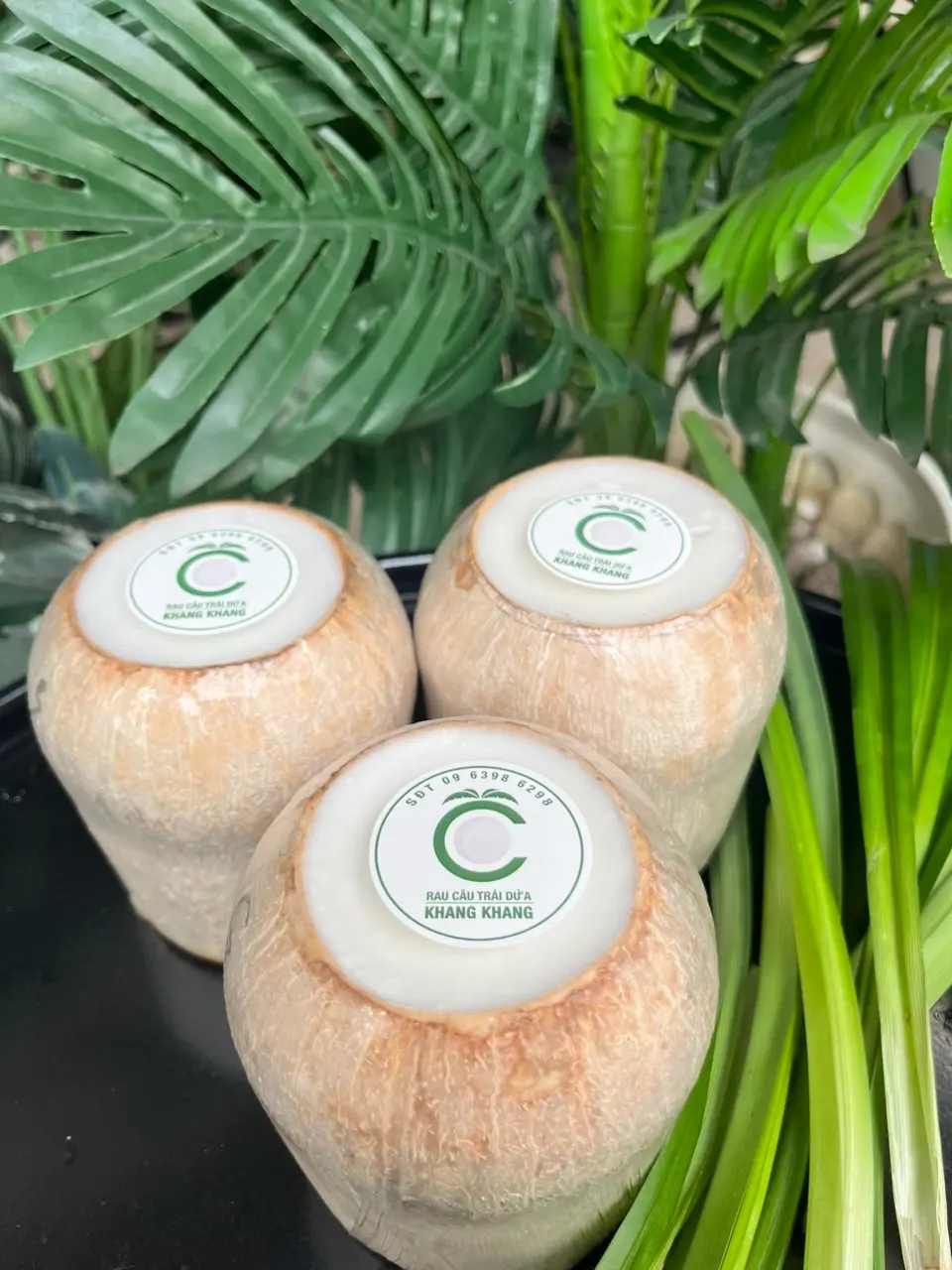 Hình ảnh Rau câu trái dừa vị nguyên bản - S (400gr - 450gr/trái)