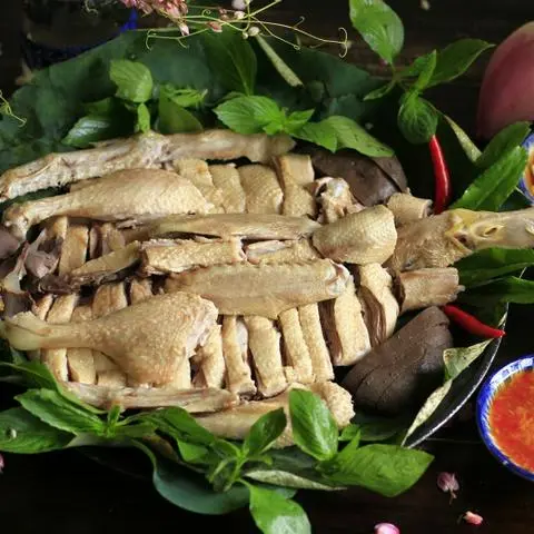 Hình ảnh GỎI VỊT NGUYÊN CON