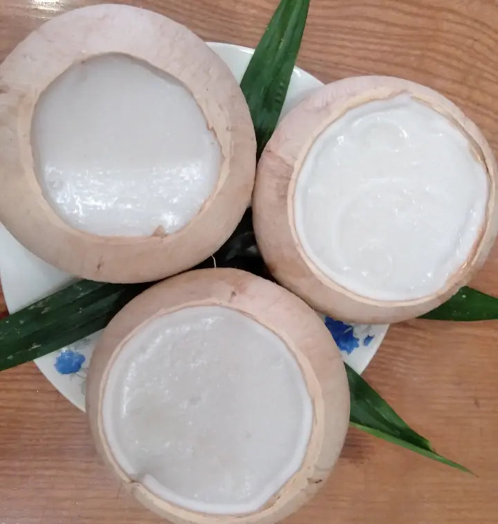 Hình ảnh RÂU CÂU DỪA XIÊM 100% Từ nước dừa tươi