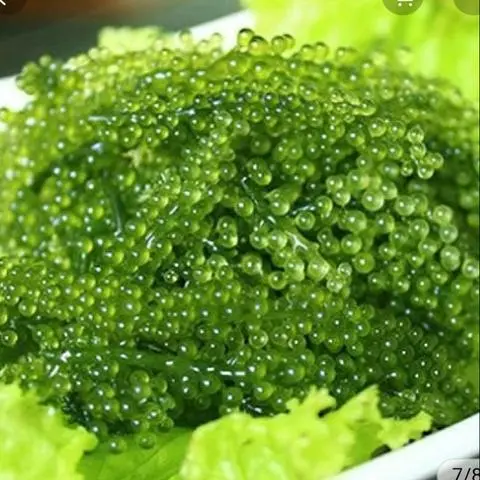 Hình ảnh Rong nho