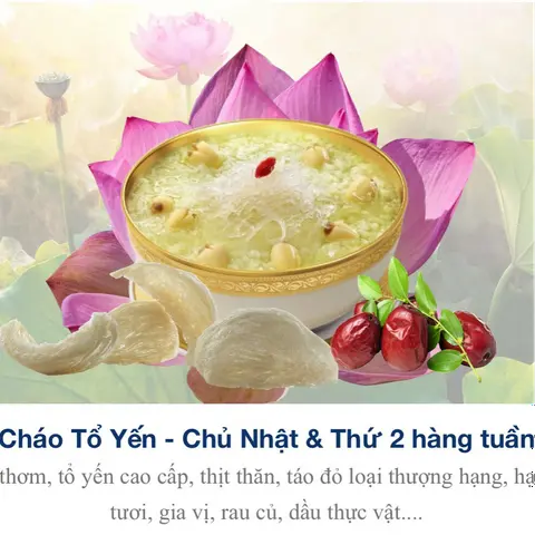 Hình ảnh cháo Tổ Yến 