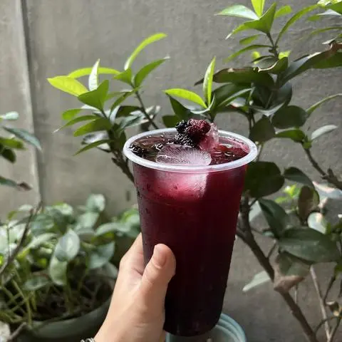 Hình ảnh Trà ô long nhài dâu tằm