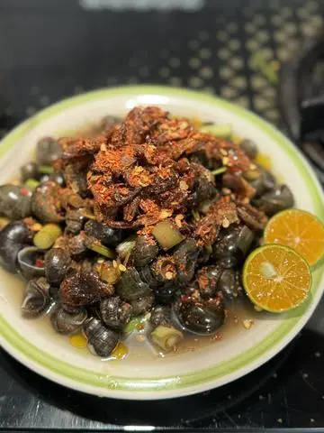 Hình ảnh Ốc hút Điện Phương