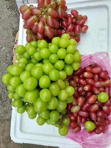 Hình ảnh Nho