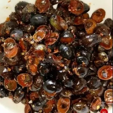 Hình ảnh Ốc dừa rang muối - NỬA KG