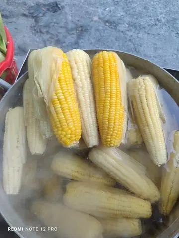 Hình ảnh Ngô Ngọt Luộc