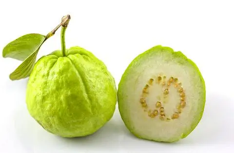 Hình ảnh ổi 
