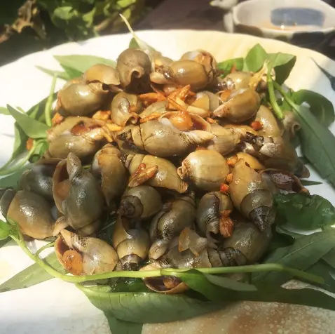 Hình ảnh Cà na cháy tỏi