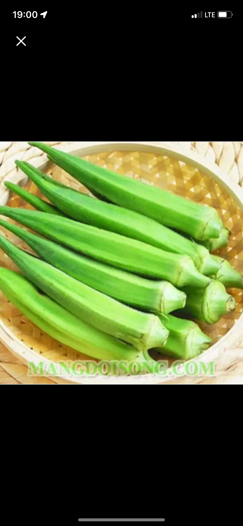 Hình ảnh đậu bắp