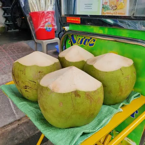 Hình ảnh Dừa Trái Tươi 