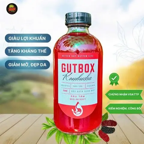 Hình ảnh Kombucha Tươi - Vị Dâu Tằm
