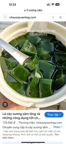 Hình ảnh Sương Sâm 
