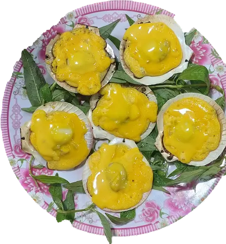 Hình ảnh Sò Điệp 